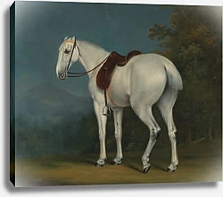 Постер Агассе Жак Женский серый костюм охотника