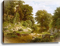 Постер Ричардс Уильям Woodland Brook