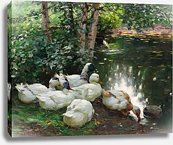 Постер Кестер Александр Шесть уток на берегу пруда