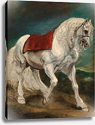 Постер Дик Энтони An Andalusian horse