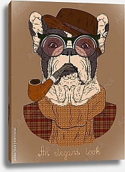 Постер Французский бульдог с табачной трубкой и в очках