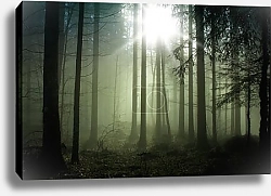 Постер Зеленый туманный лес