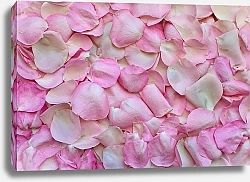 Постер Розовые лепестки 