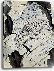 Постер Робер Поль-Андре Фалена березы