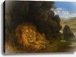 Постер Кухнерт Уильям Two Lions In A Cave