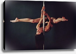 Постер Девушка на шесте