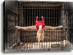 Постер Танцовщица в клетке