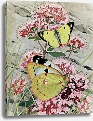 Постер Робер Поль-Андре сера