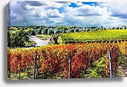 Постер Осенние виноградники Сиены, Тоскана