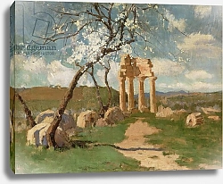 Постер Руссель Джон Almond Trees and Ruins, Sicily, c.1887