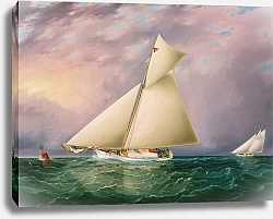 Постер Баттерсворт Джеймс Yacht Race In New York Harbor