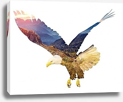 Постер Орел и каньон