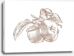 Постер Ветка с яблоками
