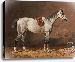 Постер Волкерс Эмиль Gesattelter Schimmel im Stall