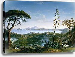 Постер Хаккерт Якоб (Jakob Philipp Hackert) View of the Gulf of Pozzuoli from Solfatara