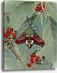 Постер Робер Поль-Андре Сфинкс-Отравленный Газом