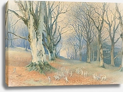 Постер Дойл Ричард Fairies and squirrels in a forest