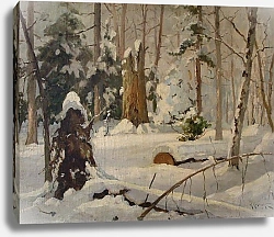 Постер Крыжицкий Константин Зимний лес, 1899г