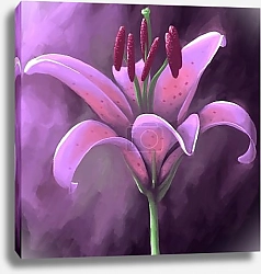 Постер Розовая лилия, крупным планом