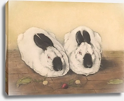 Постер Эвербэг Франц Два русских кролика