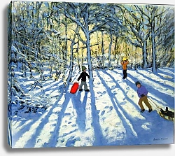 Постер Макара Эндрю (совр) Woodland in winter, near Ashbourne, Derbyshire
