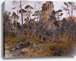 Постер Лильефорс Бруно Охота на лося