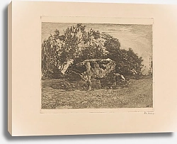 Постер Цварт Виллем Melkende boer