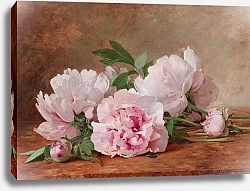 Постер Прейдур Александр Гамба Peonies