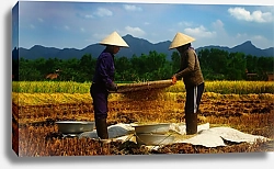 Постер Вьетнамские фермеры