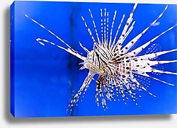 Постер Одуванчик в капельках росы на синем фоне с зеркальным отражением 