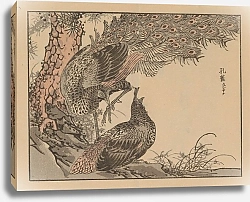 Постер Байрей Коно Байрей гафу, пл. 26