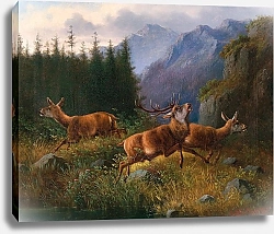 Постер Мюллер Моритц Олени в горах
