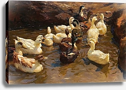 Постер Кестер Александр К берегу, чтобы