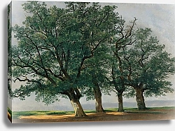 Постер Калам Александр Quatre Grands Arbres