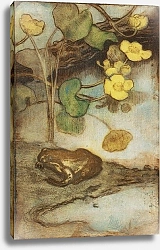 Постер Ярнефельт Ээро Frog With Marsh Marigold