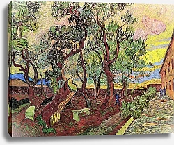 Постер Ван Гог Винсент (Vincent Van Gogh) Сад больницы в Сен-Поле 3