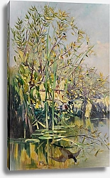 Постер Хагемайстер Карл Seeufer mit auffliegender Stockente