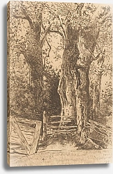 Постер Цварт Виллем Boomstudie