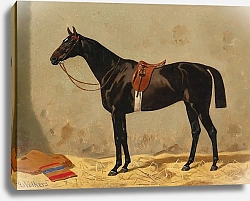 Постер Волкерс Эмиль Черный конь в конюшне