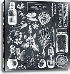 Постер Collection of hand drawn perfumery materials 1
