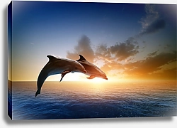 Постер Дельфины на закате