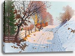 Постер Мюллер-Ландек Фриц A Sunny Winter Path