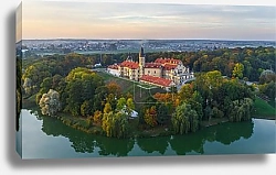 Постер Беларусь. Несвижский замок с птичьего полета №2