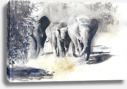 Постер Африканское сафари со слонами