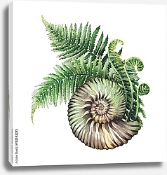 Постер Доисторическая акварельная морская раковина и ветви папоротника