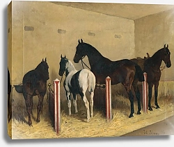 Постер Блаас Юлиус Лошади в конюшне