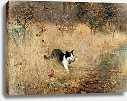 Постер Лильефорс Бруно Кошка, охотящаяся на птиц