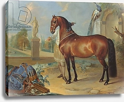Постер Гамильтон Йоханн The bay horse' Sincero'