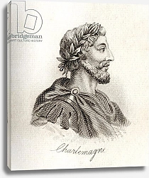 Постер Кук Д. В. Charlemagne, King of the Franks