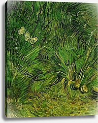 Постер Ван Гог Винсент (Vincent Van Gogh) Две белых бабочки